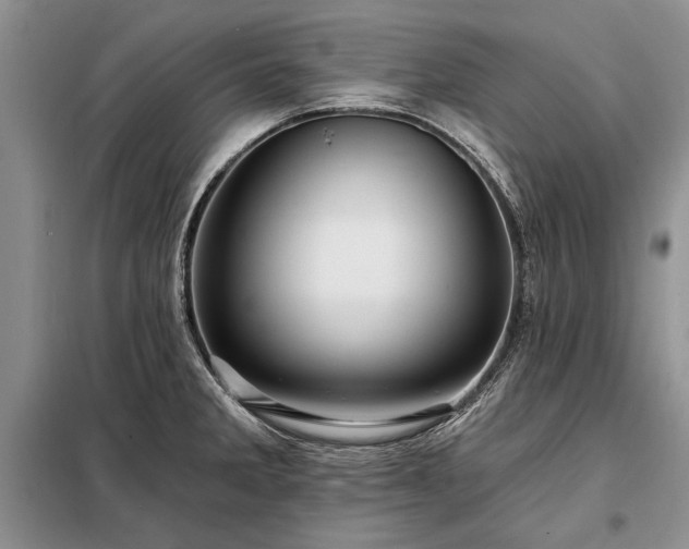 X0000098201285200805011138