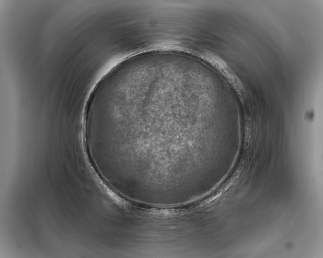 X0000098201286200805011138