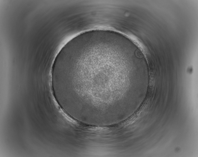 X0000098201287200805011138