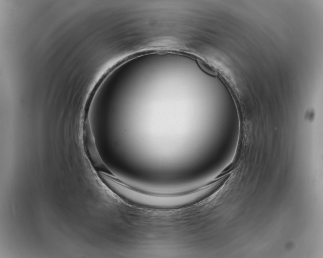 X0000098201288200805011138