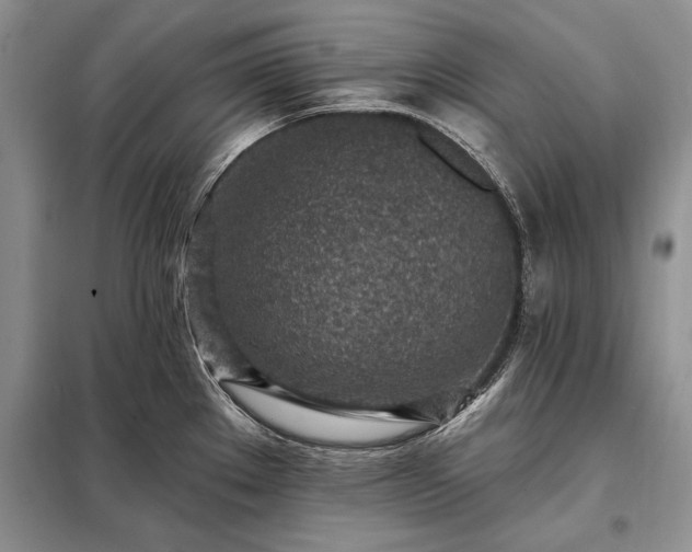 X0000098201289200805011138