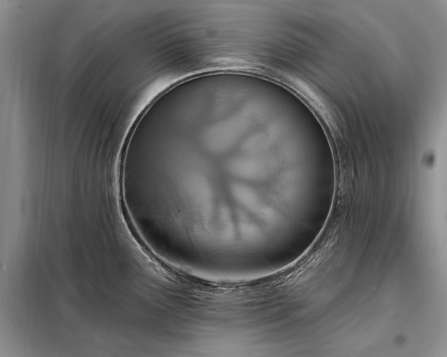 X0000098201291200805011138