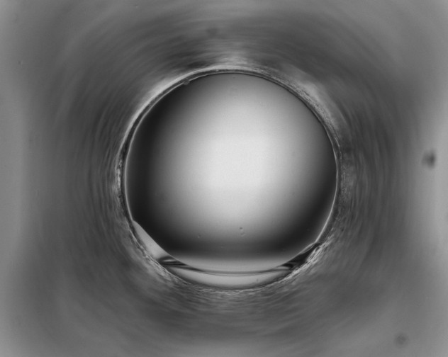 X0000098201292200805011138