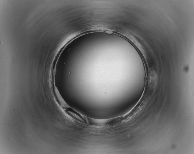 X0000098201293200805011138