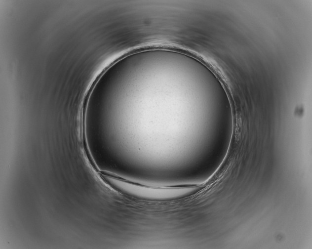X0000098201295200805011138
