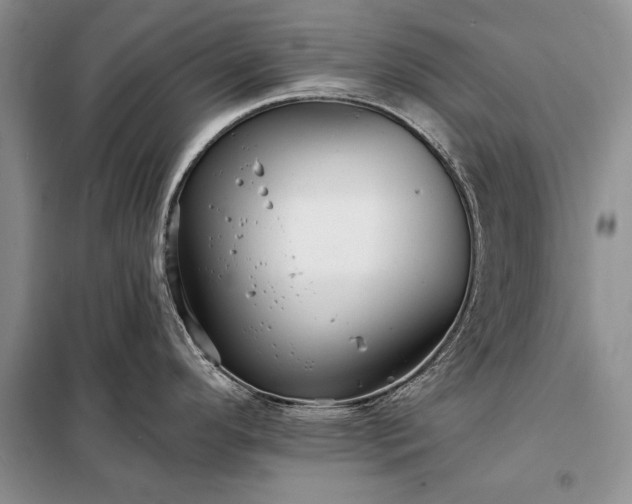 X0000098201296200805011138
