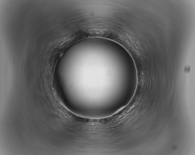 X0000098201297200805011137