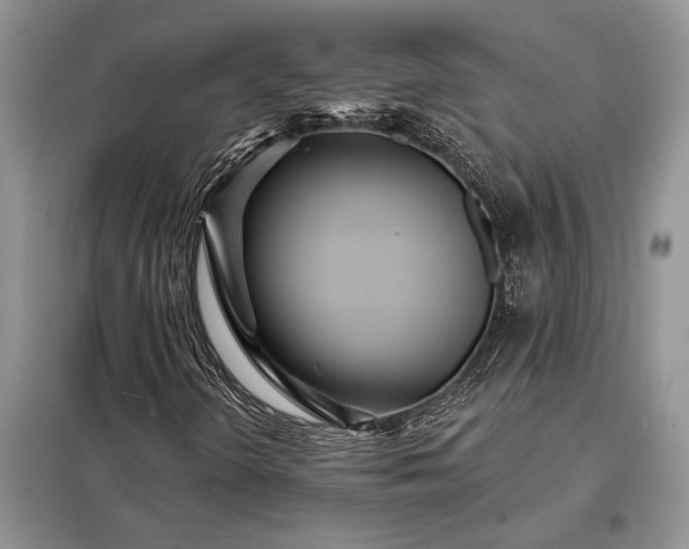 X0000098201298200805011137