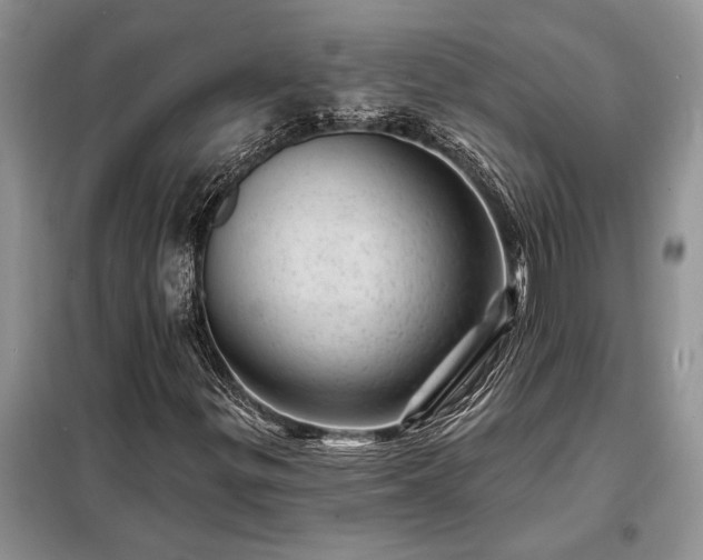 X0000098201299200805011137