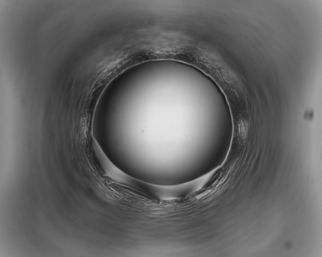 X0000098201300200805011137