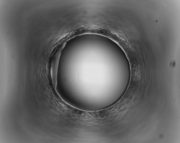 X0000098201301200805011137