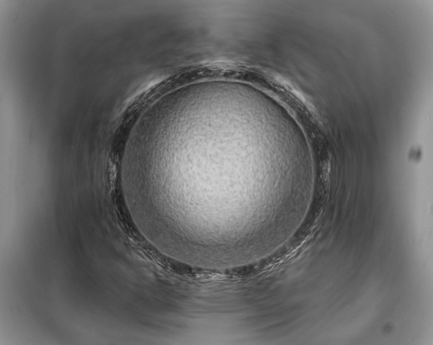 X0000098201302200805011137
