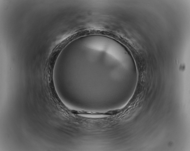 X0000098201303200805011137