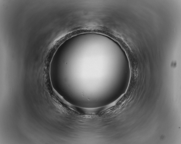 X0000098201304200805011137