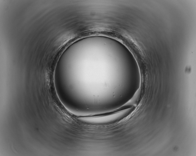 X0000098201305200805011137