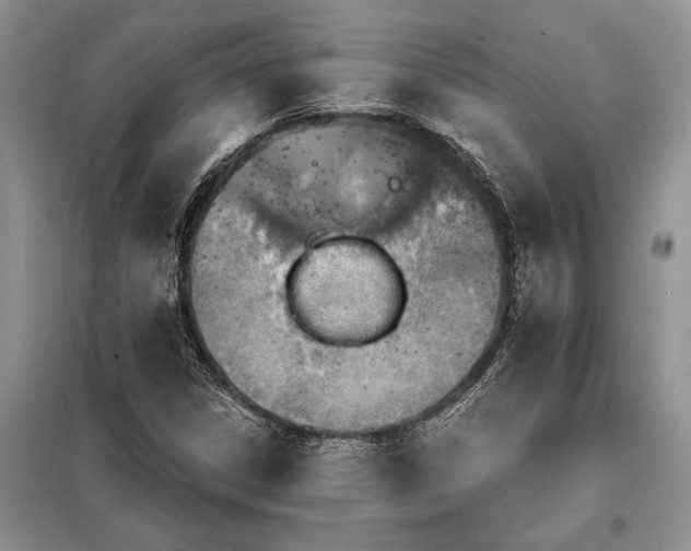 X0000098201306200805011137