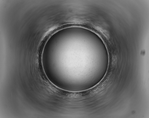 X0000098201307200805011137