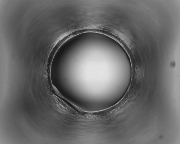 X0000098201308200805011137