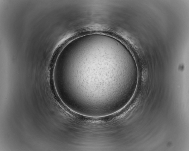 X0000098201309200805011137