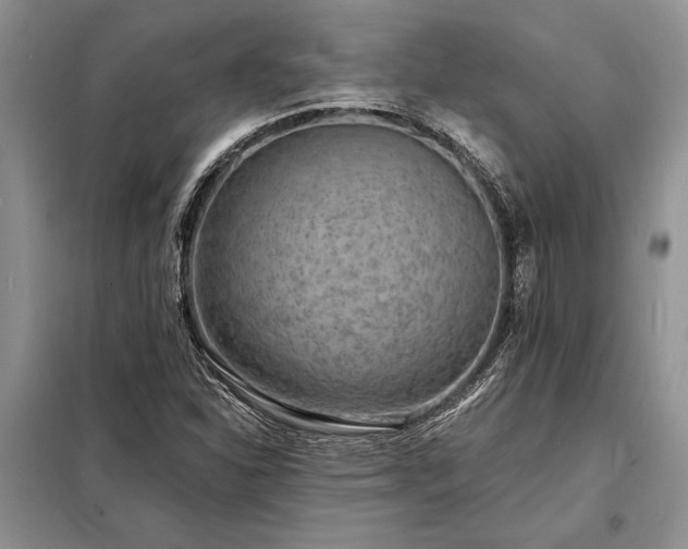 X0000098201310200805011137