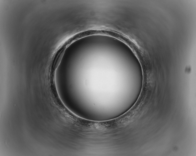 X0000098201311200805011137
