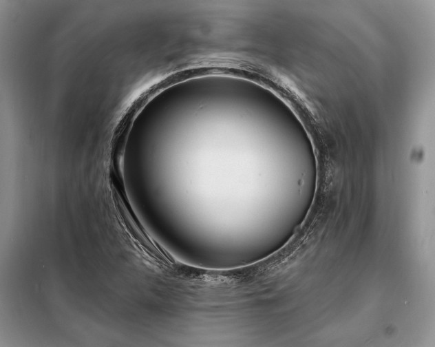 X0000098201312200805011137