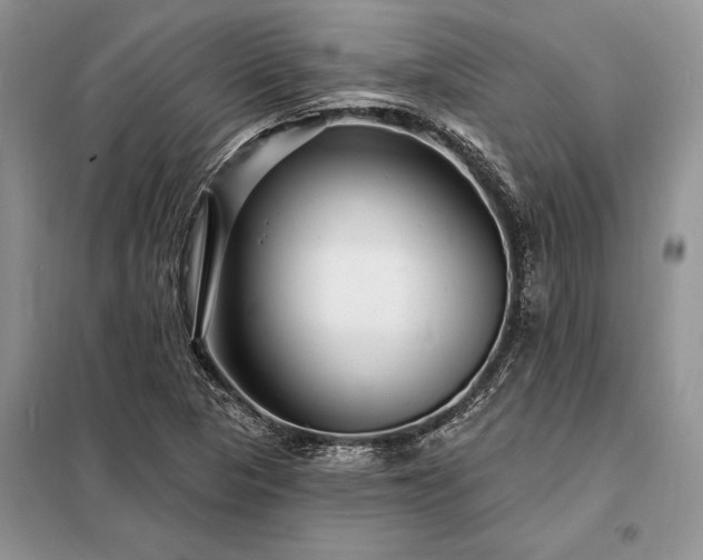 X0000098201313200805011137