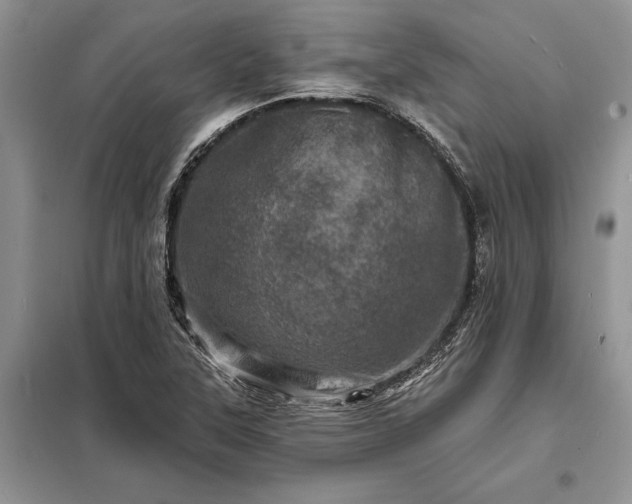 X0000098201315200805011137