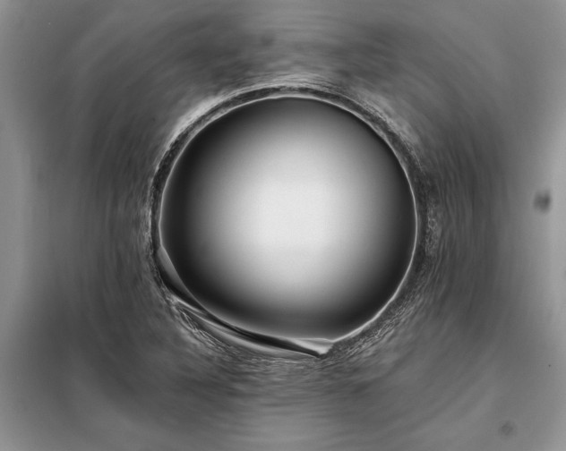 X0000098201316200805011137