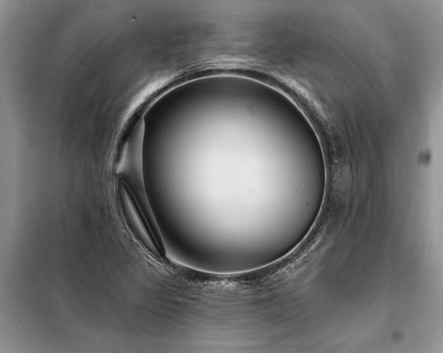 X0000098201317200805011137