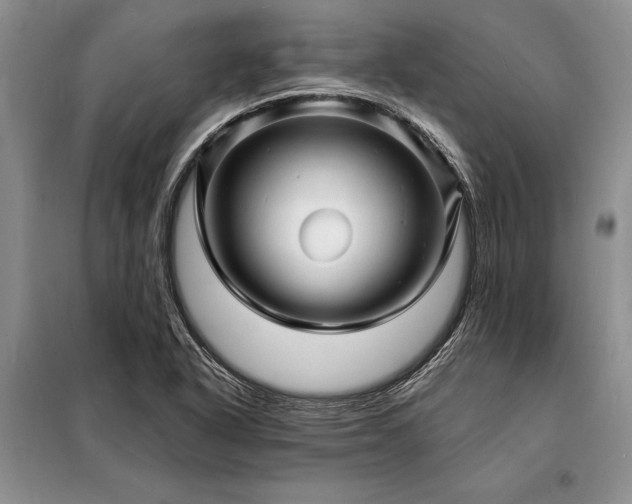 X0000098201318200805011137