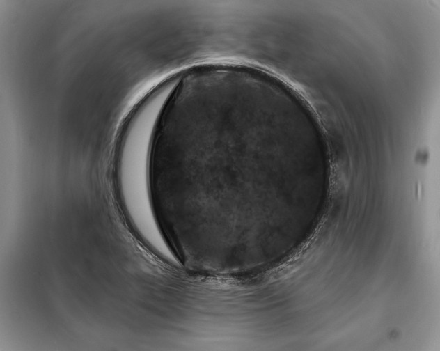 X0000098201319200805011137