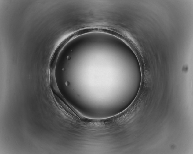 X0000098201320200805011137