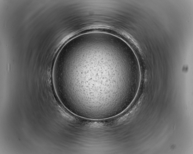 X0000098201321200805011137