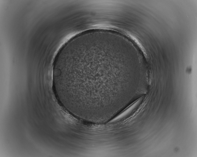 X0000098201323200805011137