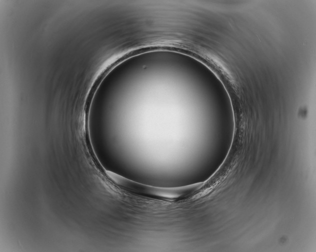 X0000098201324200805011137