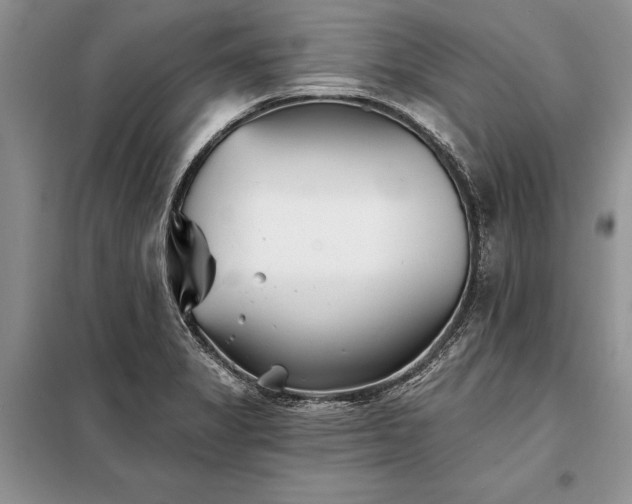 X0000098201325200805011137
