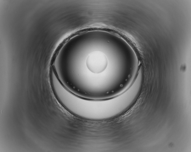 X0000098201326200805011137