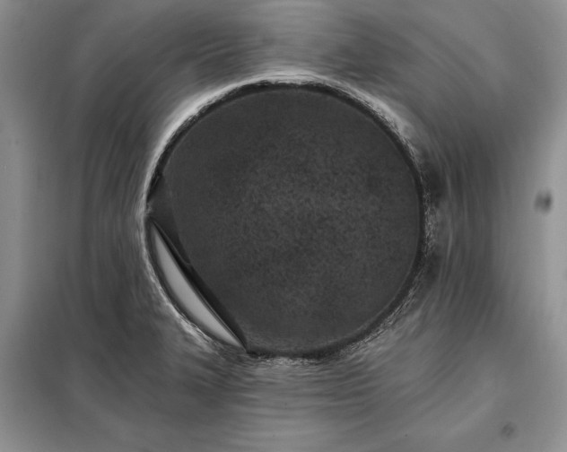 X0000098201327200805011137