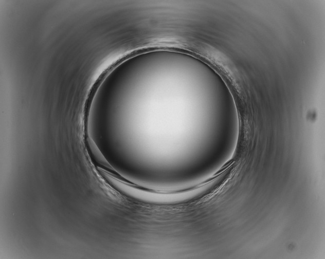 X0000098201328200805011137