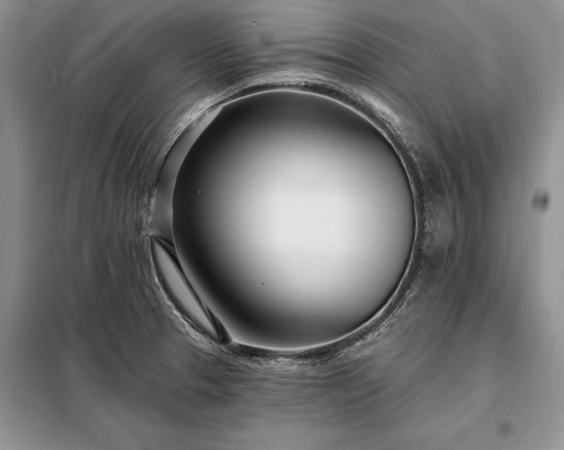 X0000098201329200805011138