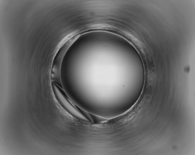 X0000098201330200805011138