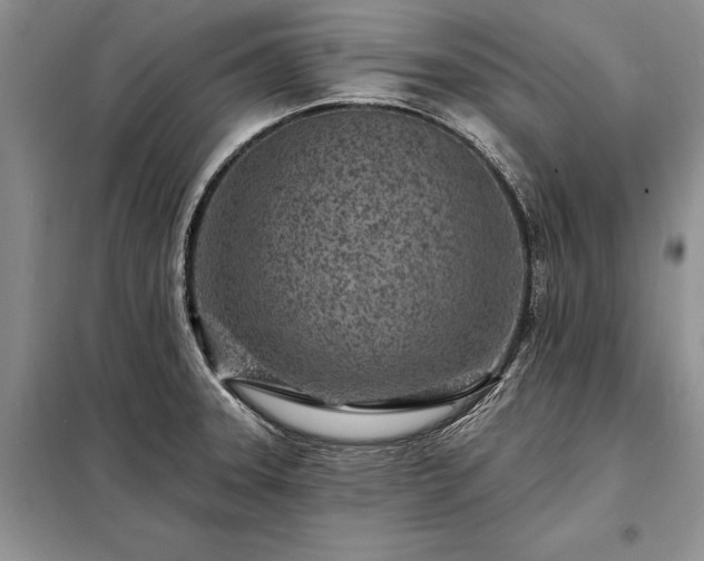 X0000098201331200805011138