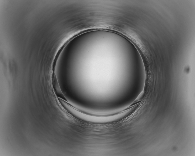 X0000098201332200805011138