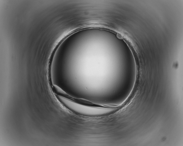 X0000098201333200805011138
