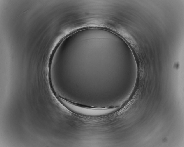 X0000098201334200805011138
