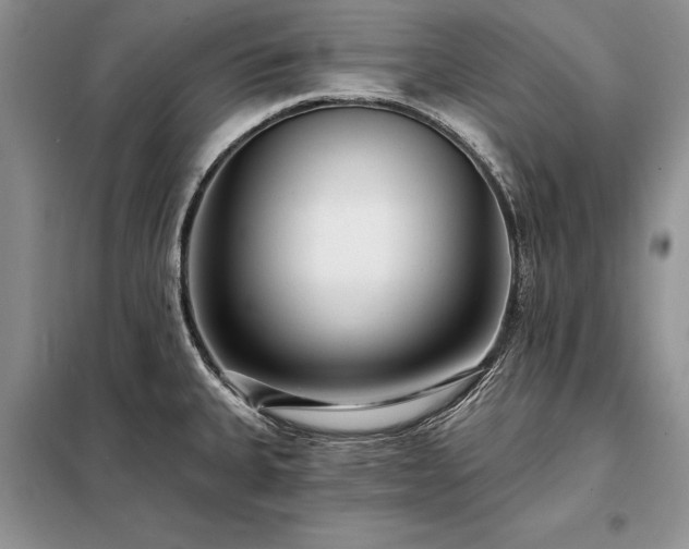 X0000098201335200805011138