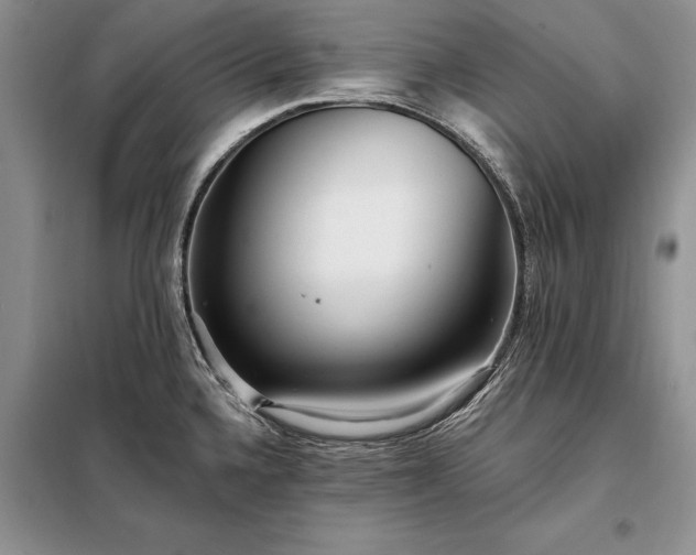 X0000098201336200805011138