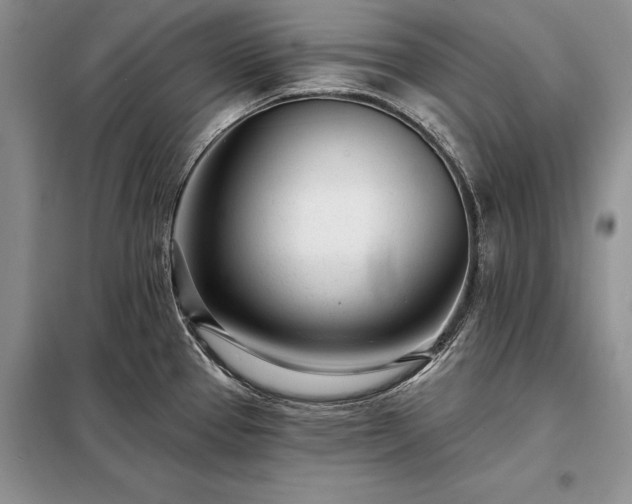X0000098201337200805011138