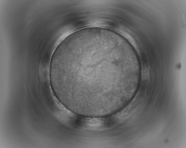 X0000098201338200805011138